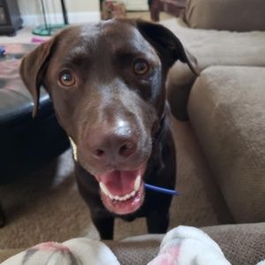 Meet your Posher, Nathan